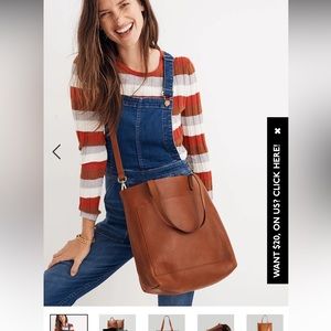 The medium transport tote